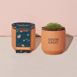 Modern Sprout® Tiny Terracotta Grow Kit Thank You Daisies