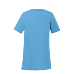 Port & Company Women's Performance Blend V-Neck Tee.